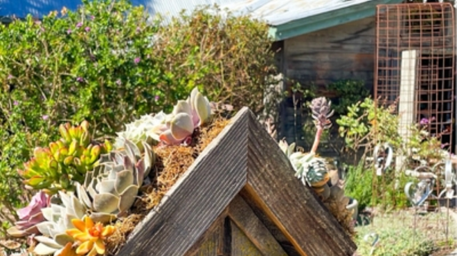 Image: Succulent Birdhouse Workshop