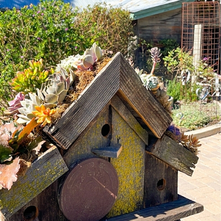 Image: Succulent Birdhouse Workshop