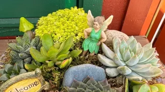Image: Succulent Fairy Garden Workshop