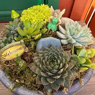 Image: Succulent Fairy Garden Workshop