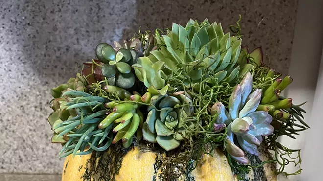 Image: Succulent Pumpkin Centerpiece