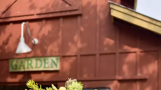 Image: Succulent Pumpkin Workshop