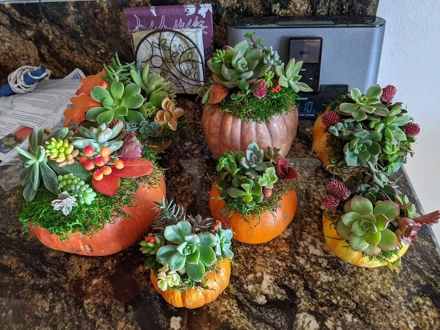 Bring a pumpkin, take home a gorgeous centerpiece!