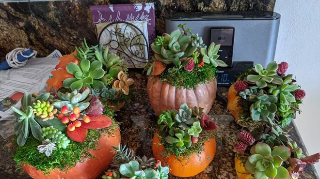 Image: Succulent Pumpkins