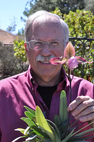 Image: The Arts Around Us: The Beauty of Orchids