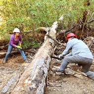 Los Padres Forest Association volunteers follow passion for outdoors to help maintain local backcountry