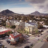 SLO weighs trees against affordable housing with new Housing Authority project