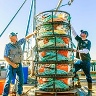 Regulated revenue: New rules, delayed season cut into local crabbers earning potential