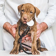 Paging all vets: A national shortage of veterinarians strains SLO County's animal health care system