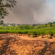 Smoky fields: As wildfire seasons grow more intense, West Coast elected officials want to help vineyards and wineries deal with the impact