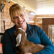 Find baby goats at Shady Oaks Farm in Atascadero