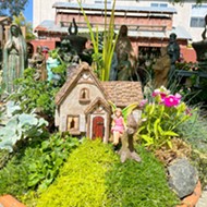 Cambria Nursery hosts fairy garden workshop weekend