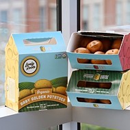 A fresh starch: A group of six Cal Poly students designed &#10;a new way to sustainably package potatoes