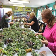 These DIY gifts are succulent: Los Osos studio offers workshops on succulent wreaths and more
