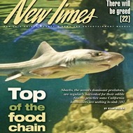 The fin issue