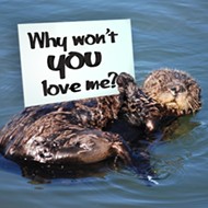 Morro Bay snubs sea otters