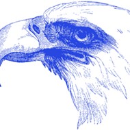 The decision to euthanize a bald eagle