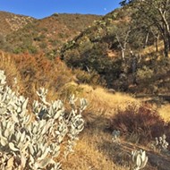 Discovering the tucked-away American Canyon trail in Los Padres National Forest