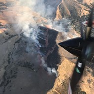 Fire chars nearly 100 acres above Cal Poly