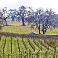 Wine grape values hit record high, labor shortage hurts vegetables in 2017 SLO crop report