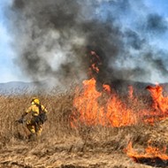 Ready to burn: State agencies push prescribed burns, environmentalists advocate for development restrictions as number of massive wildfires increase