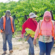 SLO County looks to remove hurdles for farmworker housing