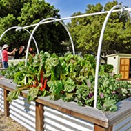 DIY with classes at the UC Cooperative Extension in gardening and food preservation
