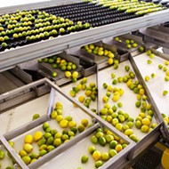 Saving citrus: Bee Sweet Citrus unveils washing facility to help fight Asian citrus psyllid and reduce pesticide use