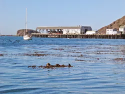 Port San Luis Harbor Commission to discuss transition to district elections