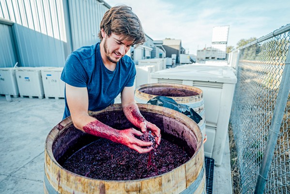 HANDS FULL ONX winemaker Drew Nenow examines whole-cluster mourvèdre fermented in open-top barrels. Nenow also produces his own label, Nenow Family Wines. - PHOTO COURTESY OF NENOW FAMILY WINES