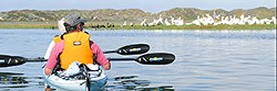 1go-trailblazing-kayaking-07-01.jpg