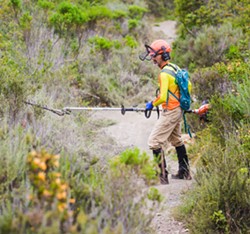 TRAIL BUILDER Central Coast Concerned Mountain Bikers trail crew leader Kenny McCarthy clears brush on a trail at Monta&ntilde;a de Oro. - PHOTO BY JAYSON MELLOM