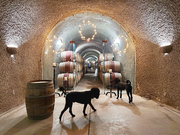 POODLE PATROL Exploring Wine Regions: The Central Coast of California transports readers to landmark estates such as Eberle. Mascots Barbera, left, and Sangiovese patrol nearly 17,000 square feet of winding caves beneath the Paso Robles property. - COURTESY PHOTO BY MICHAEL HIGGINS