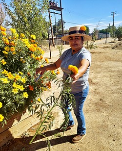 FLOWER POWER Thanks to initial support from various organizations, Blue Sky Center was able to supply seeds, starter plants, and other gardening materials to community members during the pandemic. The nonprofit's Cuyama Valley Victory Gardens Project originated in 2020 partly to help combat food access issues in the area, Sandra Uribe (pictured) told New Times. - PHOTO COURTESY OF BLUE SKY CENTER