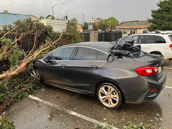 DESTRUCTION A fallen tree totaled a Grover Beach City Hall employee's car as a tornado swept through the city on Feb. 7. - PHOTO COURTESY BY JIM MUNRO