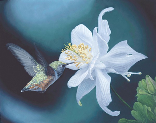 BIRD IS THE WORD One of Minnesota-based artist Susan McDonnell's paintings featured in Cal-NAM's new group exhibition&mdash;The Birds and the Bees and More: Pollinators&mdash;is Hummingbird and Aquilegia. - COURTESY IMAGE BY SUSAN MCDONNELL