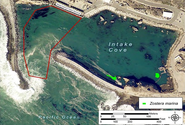 ON TEN CONDITIONS California Coastal Commission staff recommended permitting PG&amp;E's plans to dredge Diablo Canyon Power Plant's intake cove within the footprint marked with a red polygon. One of the special conditions asks the company to be mindful of eelgrass in the area that's marked with green highlights. - SCREENSHOT TAKEN FROM CALIFORNIA COASTAL COMMISSION REPORT