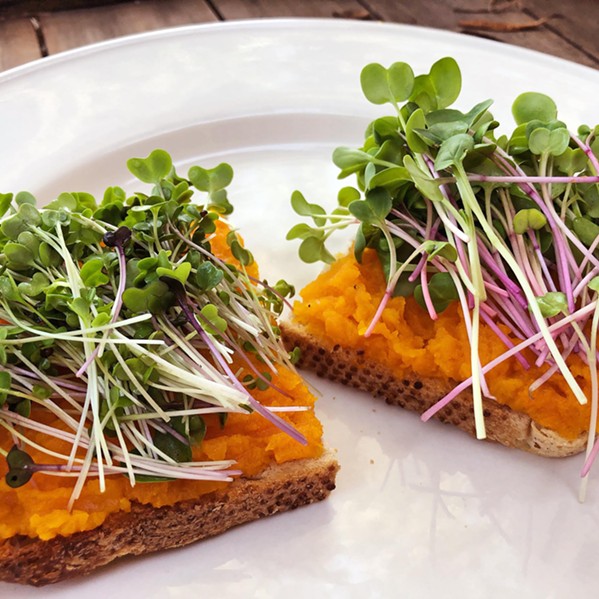 WHOLE FOOD Good Witch Farm's founder Jane Darrah encourages microgreens to be used as more than just scant garnish&mdash;just like these radish microgreens paired with mashed sweet potatoes on sourdough. - PHOTOS COURTESY OF JANE DARRAH