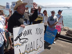SURVEY THIS :  Los Osos resident Joey Racano (pictured, in black) led a hybrid whale appreciation/anti-seismic studies demonstration in Avila Beach on Sept. 1, before Pacific Gas & Electric is scheduled to begin its controversial geophysical surveys. - PHOTO BY DUSTIN HYMAN