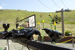 CROW BAR :  George Jercich&rsquo;s whimsical installation piece, pictured, is one of few site-specific pieces in the eighth annual Art Eco show at the SLO Botanical Garden. - PHOTO BY STEVE E. MILLER