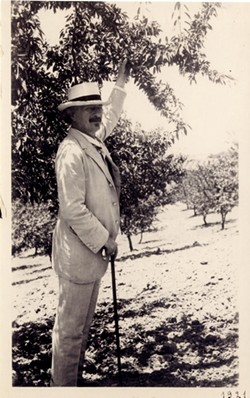 PADEREWSKI IN PASO:  The Polish pianist, composer, and politician Ignacy Jan Paderewski was also a pioneer of Paso Robles agriculture. In this rare photograph, Paderewski inspects the almond trees he planted on his Paso property. - PHOTO COURTESY OF THE POLISH MUSIC CENTER