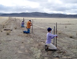 DON&rsquo;T FENCE ME IN :  Barbed-wire fences create obstacles for the fleet-footed pronghorn that can run but not jump, so volunteers have been busy removing or modifying fences on the Carrizo so pronghorn can pass under them more easily. - PHOTO COURTESY OF CRAIG DEUTSCHE