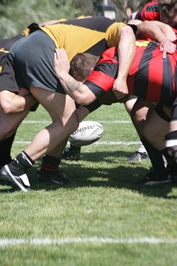 GRUNT! :  The ball returns to play by being rolled in the scrum.