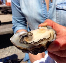 EAT UP!:  Ten chefs from across the Central Coast will go head-to-head for the Best Oyster of the Central Coast Chef Award. - PHOTO COURTESY OF THE CENTRAL COAST OYSTER & MUSIC FESTIVAL