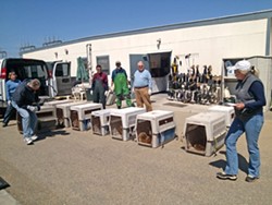 HELP ALL OVER :  Sea lions from Southern California hospitals were moved north to Marine Mammal Center facilities that had more room. Some animals on the move recently stopped at the San Luis Obispo triage facility (pictured).
