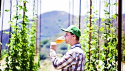 BROTHERS TALENTED:  Toro Creek Brewing Company founder Brendan Cosgrove employed the talents of his brothers Caleb McLaughlin, brewmaster, and Kyle Batoor-Cosgrove, farmer, to create Toro Creek Farms. The operation produces organic hops, - bushels of fresh barley, and a range of herbs, veggies, and citrus on the family-owned land. - PHOTO BY DUMMIT PHOTOGRAPHY