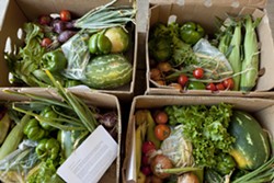 HEALTHY CHOICES :  Boxes full of a variety of fresh seasonal produce were offered each week by the Cal Poly Organic Farm, until the program was unexpectedly halted in summer. - PHOTO BY STEVE E. MILLER