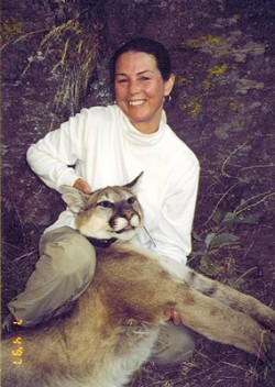 YOU CAN&acirc;&euro;&trade;T HIDE YOUR LION EYES :  Scientists are finding out about the secret life of mountain lions, using radio tracking collars like this one fitted on a tranquilized big cat by SLO teacher Suzanne Nichols. - PHOTO COURTESY OF SUZANNE NICHOLS