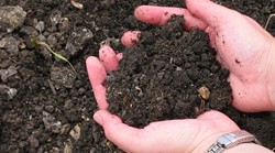 THE LAND DOWN UNDER:  A compost-tea program helps get soil back into full health by adding microbes that help get necessary nutrients to plants. - BRET ROOKS