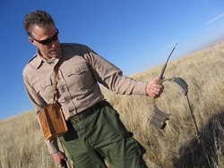 COLLARING THE DATA :  Fish and Game wildlife biologist Bob Stafford retrieves a radio collar worn by a SLO County tule elk, with its black box loaded with information about nearly two years of elk movements. - PHOTO BY KATHY JOHNSTON